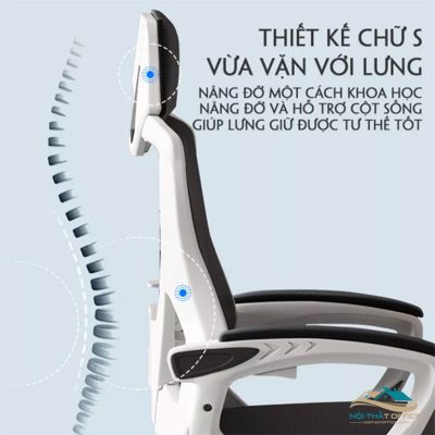 ghe nga lung tms 06 4