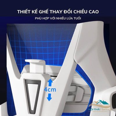 ghe nga lung tms 06 9