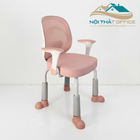 Ghế Học Sinh Lưng Gấu Trúc GSH-011